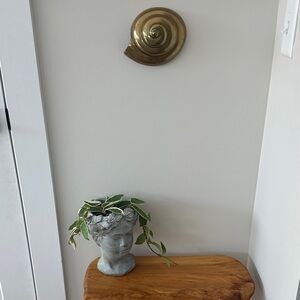 Brass Nautilus Wall Decor